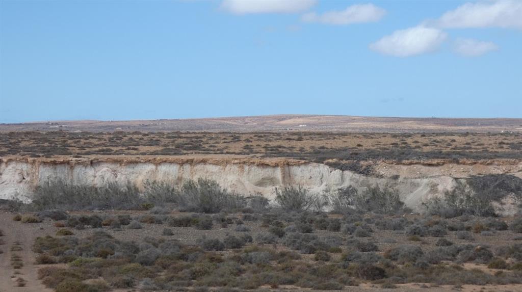 Majada Blanca. El suelo dominante el paisaje de Fuerteventura presenta un horizonte cemententado por carbonato cálcio (petrocalcids) que recubre todo tipo de materiales geológicos.