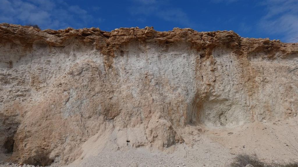 El horizonte petrocálcico de la parte superior se asienta sobre un material calcáreo de varios metros de espesor que es poco frecuente en la isla.