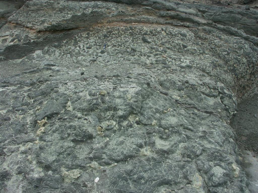 Vista del afloramiento de lavas almohadilladas cubiertas por brechas de fragmentos de almohadillas. Playa del Valle