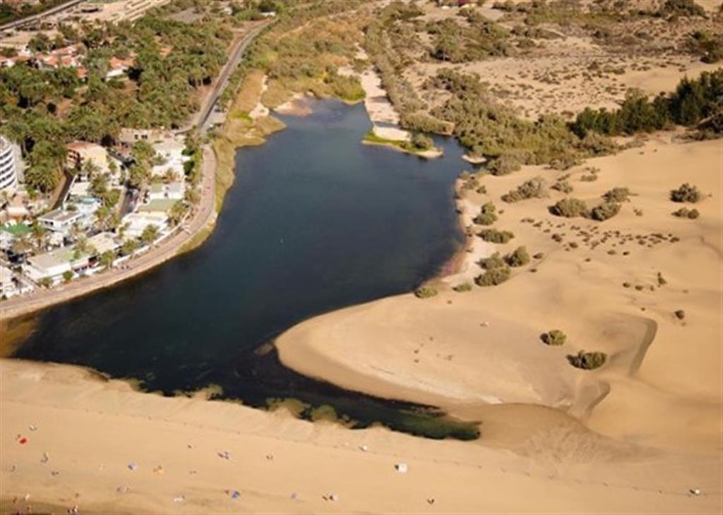 Vista aérea de la Charca de Maspalomas y parte del sistema dunar
