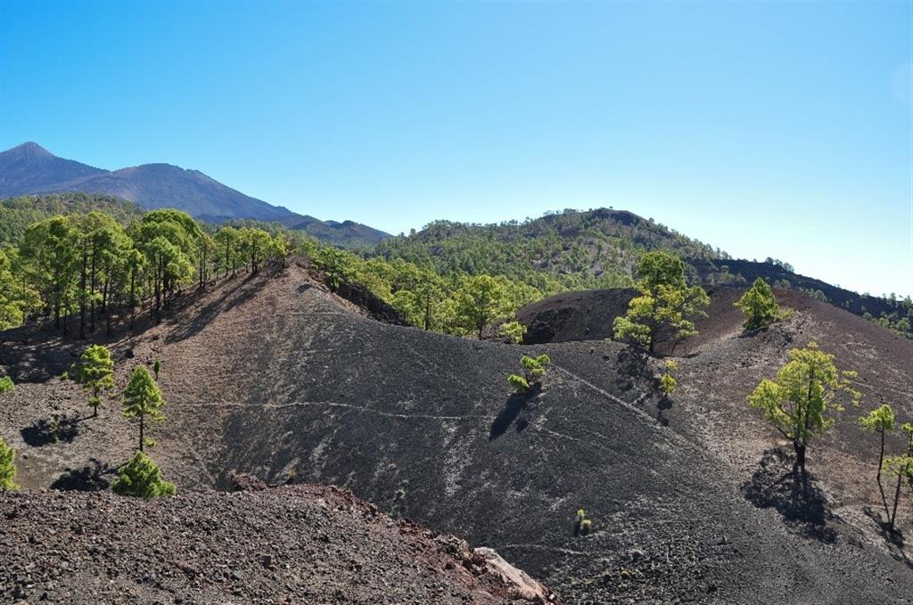 Cráteres principales del Volcán de Boca Cangrejo