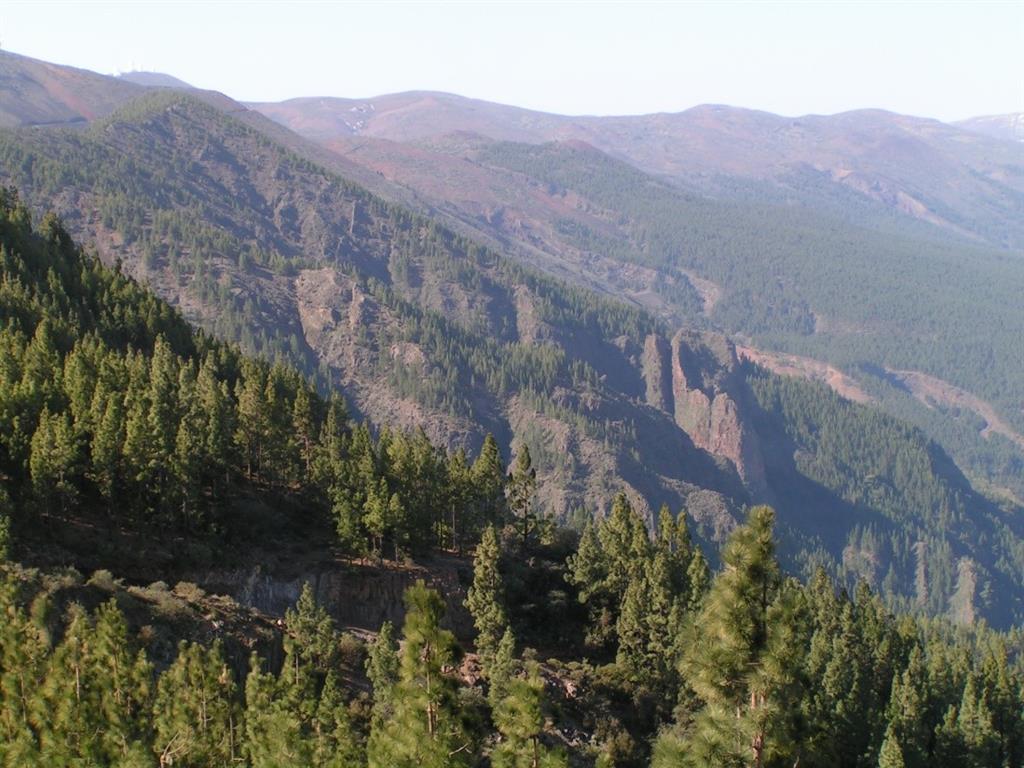 Cabecera del Valle de La Orotava mostrando en primer término la zona de depósitos detríticos de Los Organos.