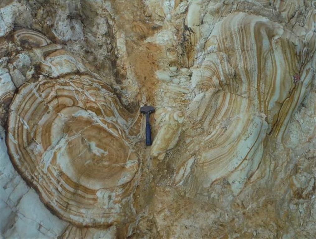 Detalle de las estructuras de alteración concéntricas circulares más llamativas y características de este afloramiento.