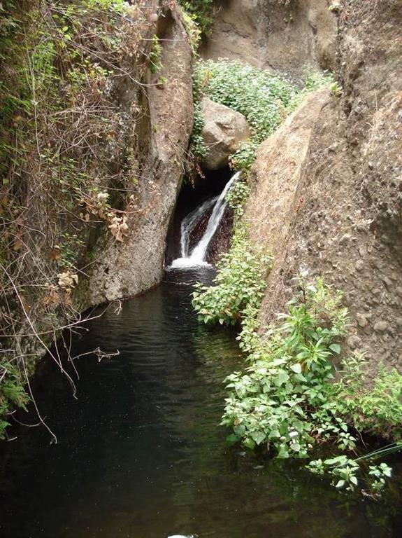 Agua del naciente de “Arroyo de Guadá” corriendo por el barranco del Agua antes de su captación