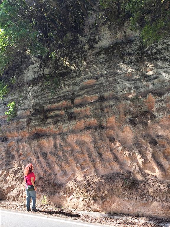 Corte del anillo piroclástico del maar de Laguna Grande, Garajonay. J. Vegas, 2025.