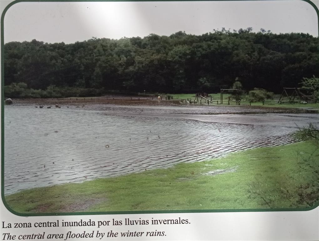 Laguna Grande inundada después de un episodio de lluvias. Panel del Parque Nacional Garajonay
