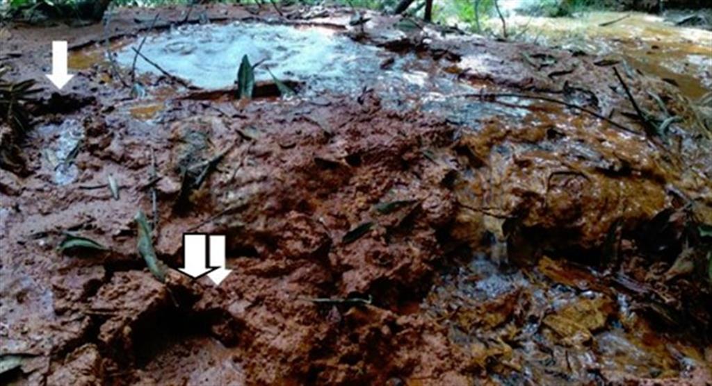 Degradación de los depósitos minerales por pisoteo en el entorno del pozo de Dos Aguas después del confinamiento debido al COVID´19 (Galindo et al., 2021).