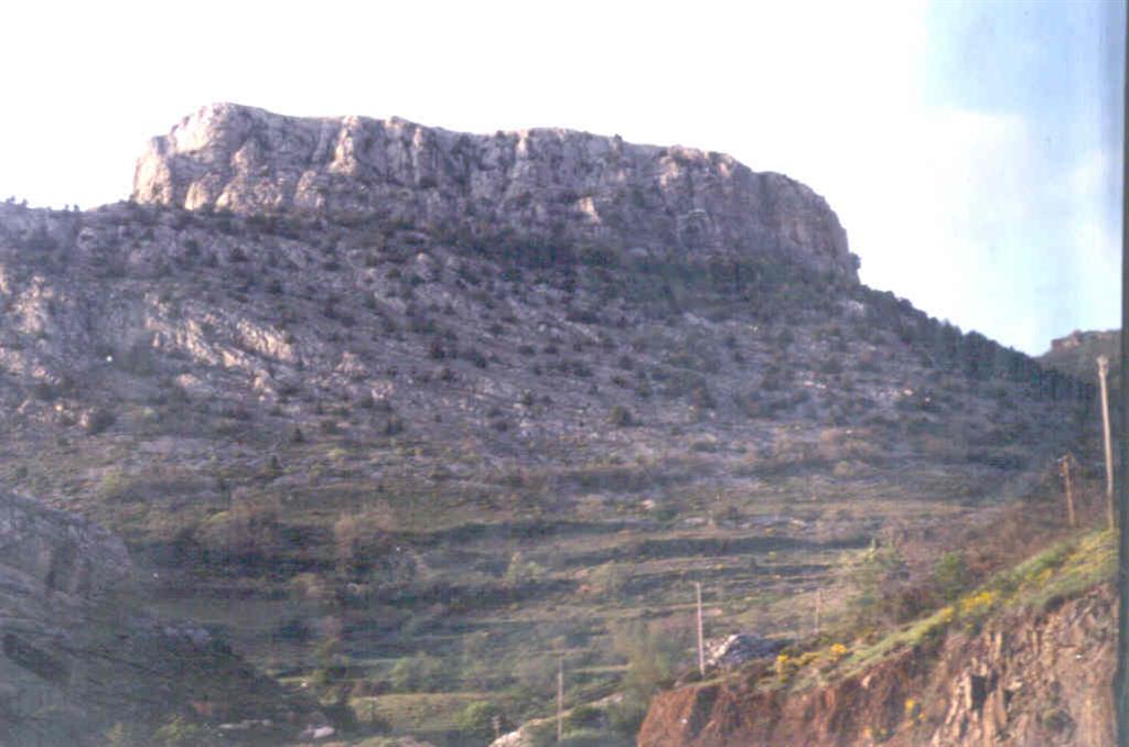 Caliza de Santa Lucía (Devónico).