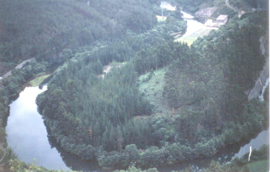 Meandro del Río Navia inmediatamente debajo del embalse de Arbón.