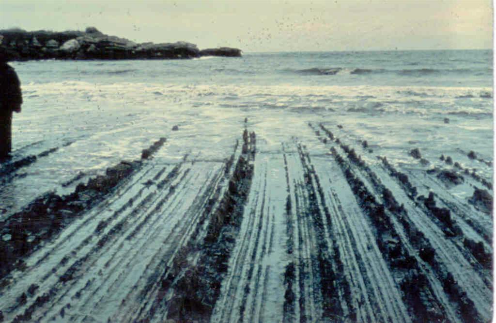 Fotografía de 1980, mostrabndo el aspecto general del tramo inferior calcáreo de las turbiditas de San Pedro de Antromero (Carbonífero).