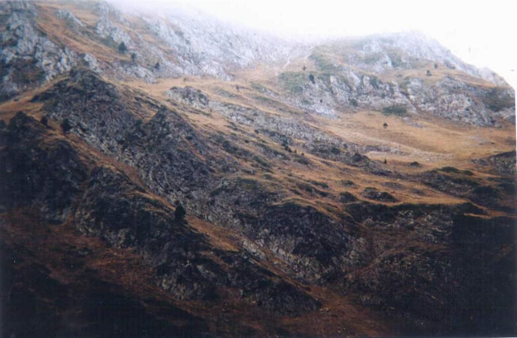 Falla de la Roca Blanca  que separa las capas de areniscas y pizarras del Cambro - Ordovícico (parte inferior en color oscuro) de las capas del Silúrico y Devónico (parte superior en colores claros).