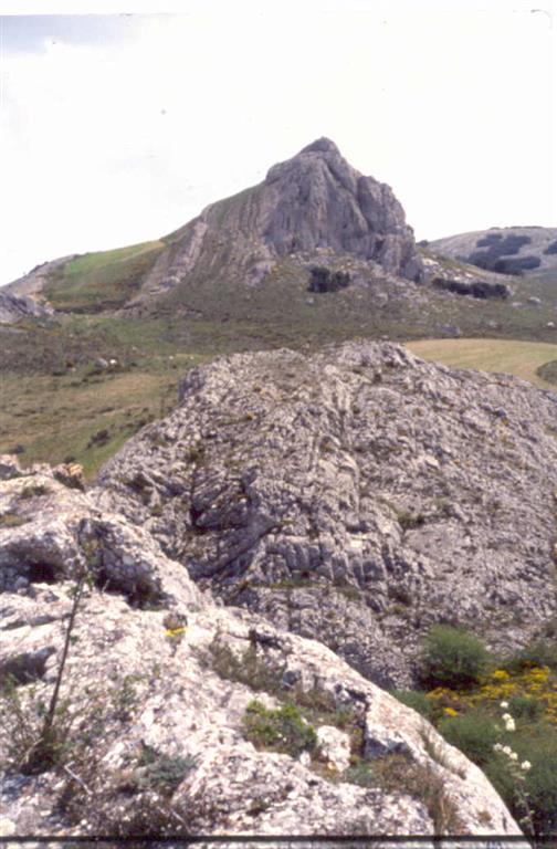 Calizas subverticales y fuertemente tectonizadas, en el anticlinal al Norte de la Garganta del río Paraiso.