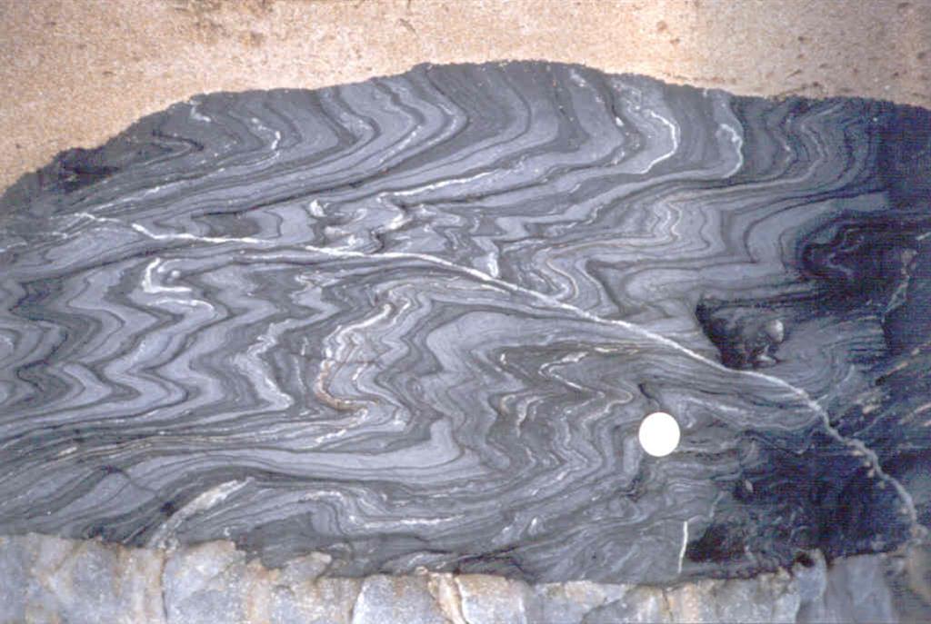 Pliegues de tipo similar en materiales de Cabo d´Home - La Lanzada cortados por un dique de cuarzo.