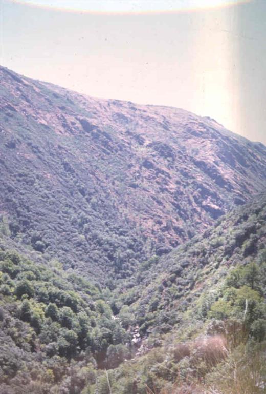Valle del Cabrera desde la confluencia del Río Cabrera y el arroyo de Valdecorrales.