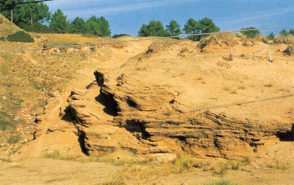 Dunas fósiles de Astondo. El viento de la playa ha erosionado el frente de las dunas mostrando su estructura laminar. La arena de las dunas se encuentra cementada por precipitación de carbonato. (Foto: Diputación Foral de Vizcaya - LURGINTZA)