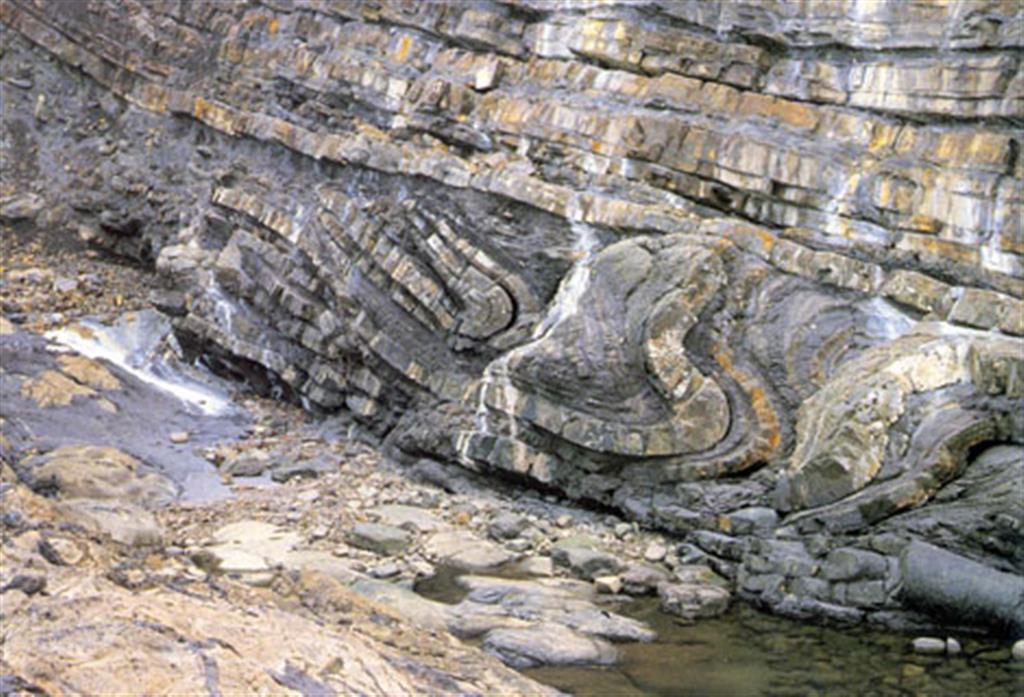 En la bahía de Armintza, aparecen calizas, margocalizas y lutitas negras depositadas desde la plataforma costera hasta la llanura submarina. El Slump aparece en las facies de talud. (Foto: Diputación Foral de Vizcaya - LURGINTZA)