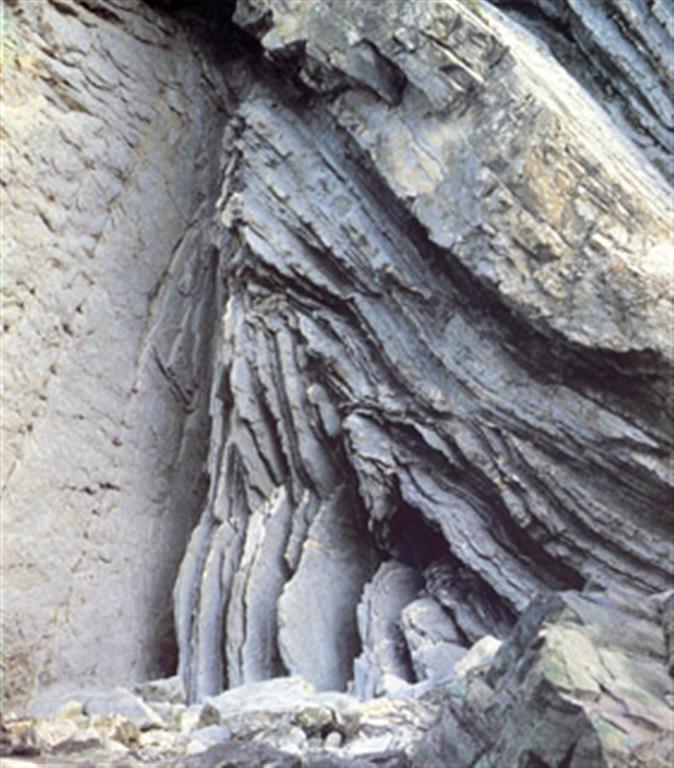 Pliegues de Barrika. Pliegue angular que aparece al E. de la playa de Meñacoz. (Foto: Diputación Foral de Vizcaya - LURGINTZA)