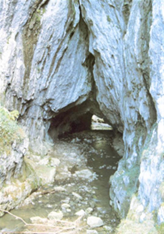 Túnal de Abaro. Su origen es semejante al Jentilzubi. Tiene una longitud total de 77 metros y sirve de cauce a un río. (Foto: Diputación Foral de Vizcaya - LURGINTZA)