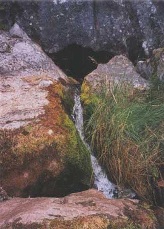 El Río Pisuerga nace en las formaciones calcáreas de Carbonífero Superior, en las denominadas Calizas de las Agujas, pertenecientes a la parte inferior de la Formación Vergaño.