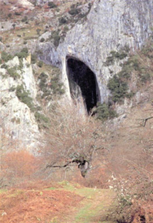 La Cueva de La Lece es parte de un conducto subterráneo (kárstico), constituyendo el drenaje y la salida natural de las aguas de La Hoya de la Lece, valle cerrado situado detrás del contrafuerte calizo. (Foto: Diputación Foral de Álava - C.G.S. OGDEN)