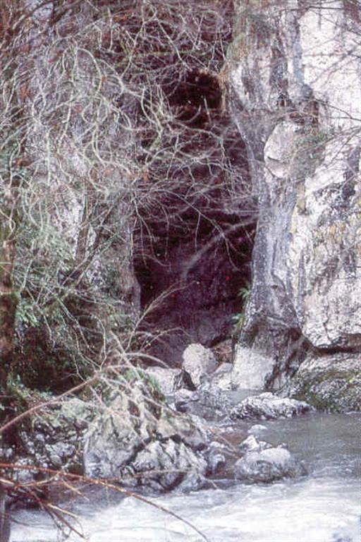 Río Aranzazu y sumidero de Zalaizabal. (Foto: Diputación Foral de Guipúzcoa - C.G.S., S.A.)