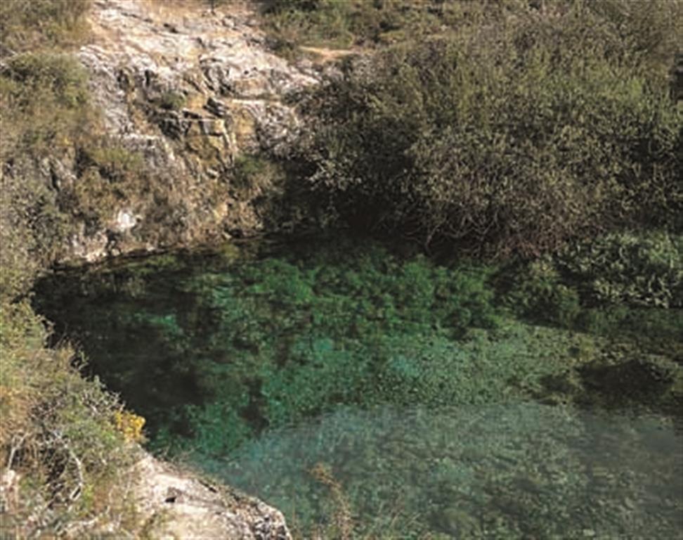 Pozo Azul. Este pequeño estanque de color azul está alimentado por una surgencia kárstica que brota de las calizas y margas santonienses de la margen derecha del cañón del Rudrón y aguas abajo de la localidad de Covanera.