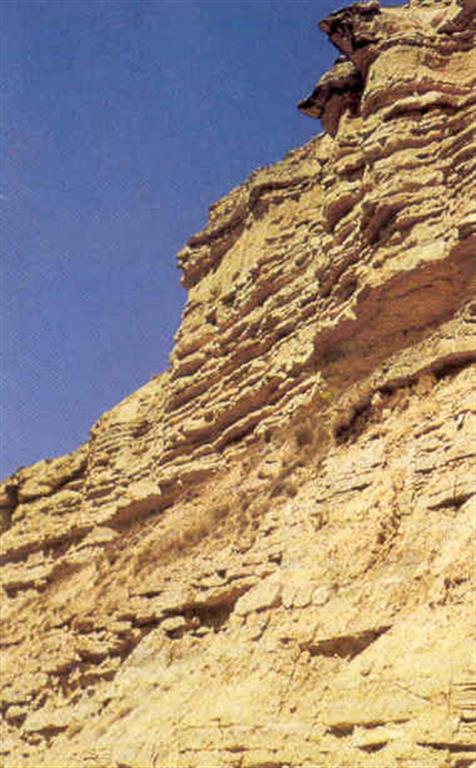 Detalle de la pared del acantilado fluvial. (Foto: Diputación Foral de Álava - C.G.S. OGDEN)