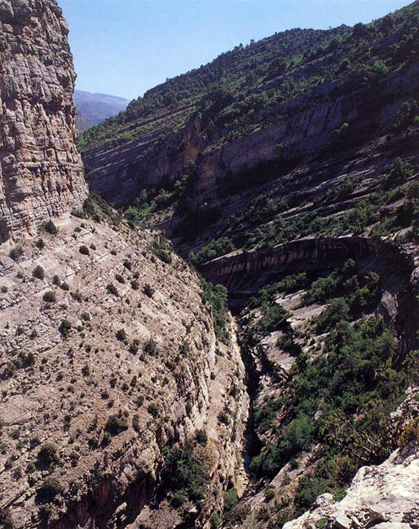 Fuerte incisión del Riu de Carreu en los materiales calcáreos del Cretácico superior (Flanco del anticlinal de Sant Corneli.  (Foto: ENRESA-J.Rosell Sanuy).