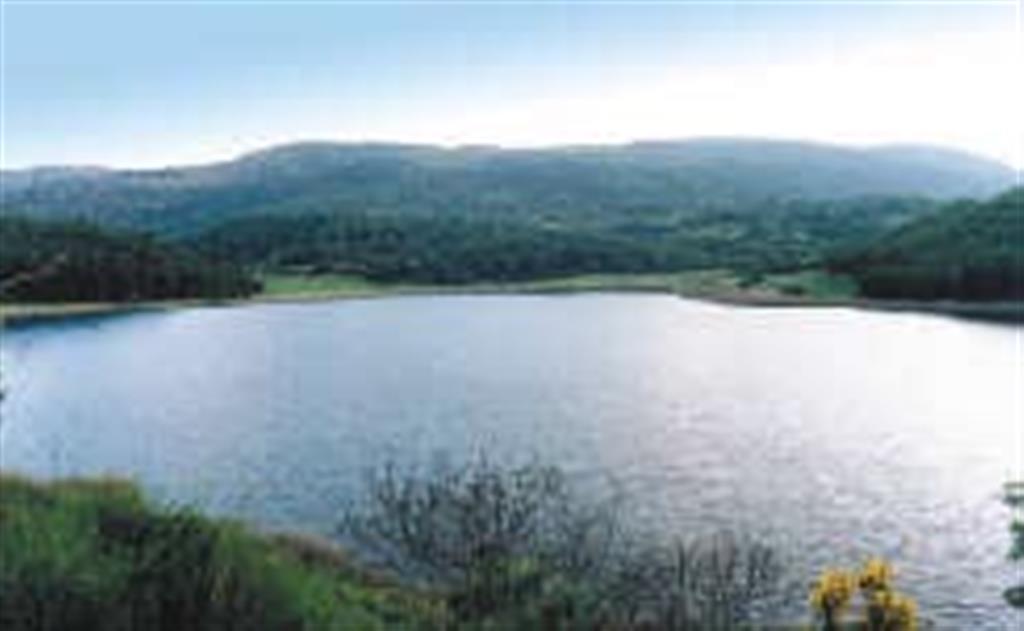 Este pequeño lago de forma tendente a la circular puede considerarse una dolina en yesos y de aguas subterráneas.