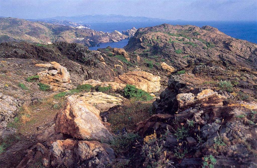 Pegmatitas (de color más claro) alternan con micaesquistos y migmatitas en el Cabo de Creus. (Foto: ENRESA-R. Nuche del Rivero).