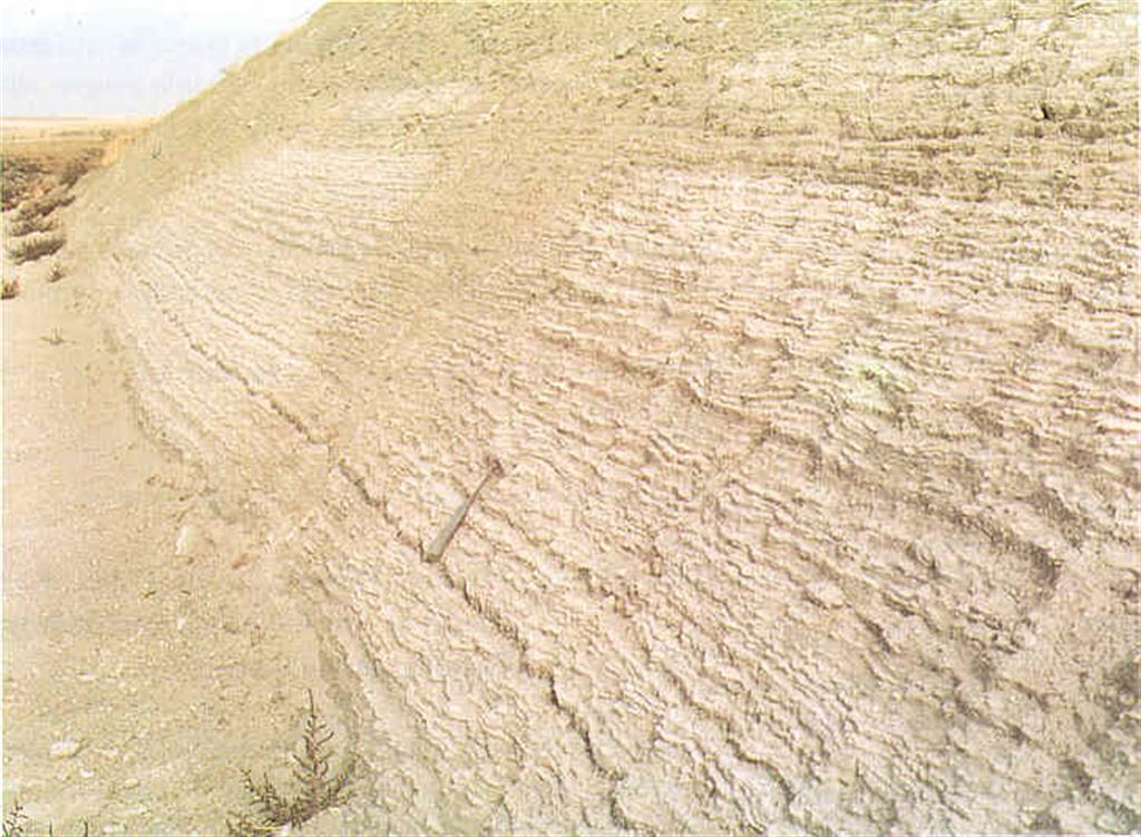 Materiales terciarios del Cerro del Telégrafo, este afloramiento ya no existe (Foto: IGME).