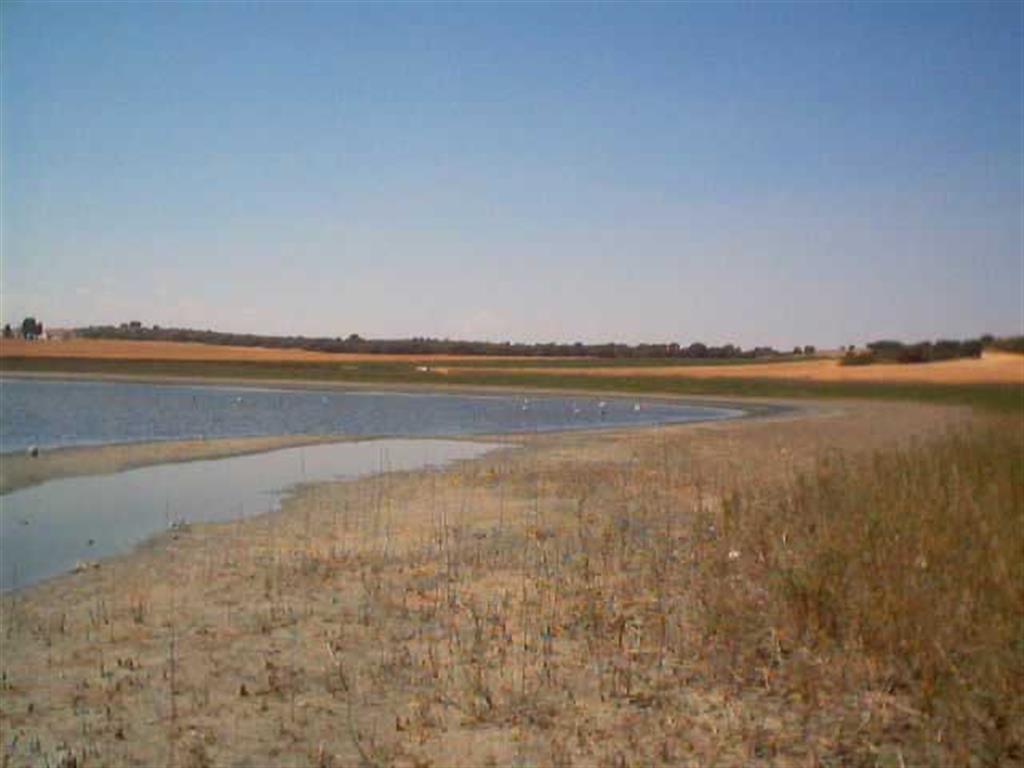 La laguna de Salobralejo está formada por aguas poco profundas y muy cargadas en sales.