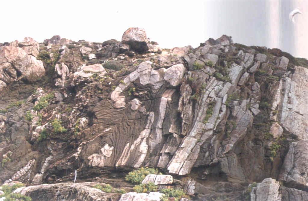 Aspecto de los pliegues que se observan en las proximidades de cabo Cociñadoiro.