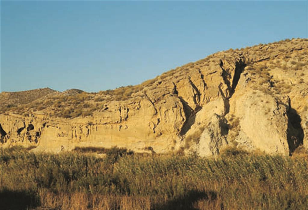 En el paraje conocido como el Argamasón, se pueden observar los resultados de la deformación asociada a la falla de Carboneras, mediante el desarrollo de un pliegue en los materiales Pliocenos.  (Foto: ENRESA-J. M. Soria Mongorance).
