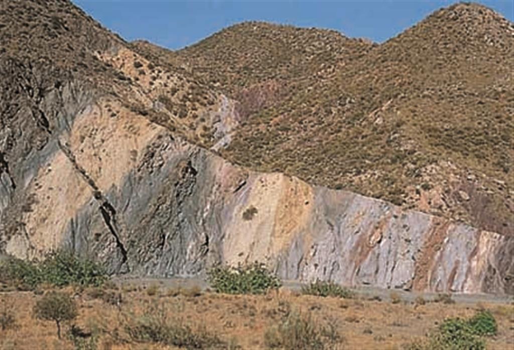 Afloramiento del plano de falla en la Rambla Granadilla. La falla de Carboneras afecta a los materiales miocenos, depositados cuando se estaba produciendo el movimiento de la misma. (Foto: ENRESA-J. M. Soria Mongorance).