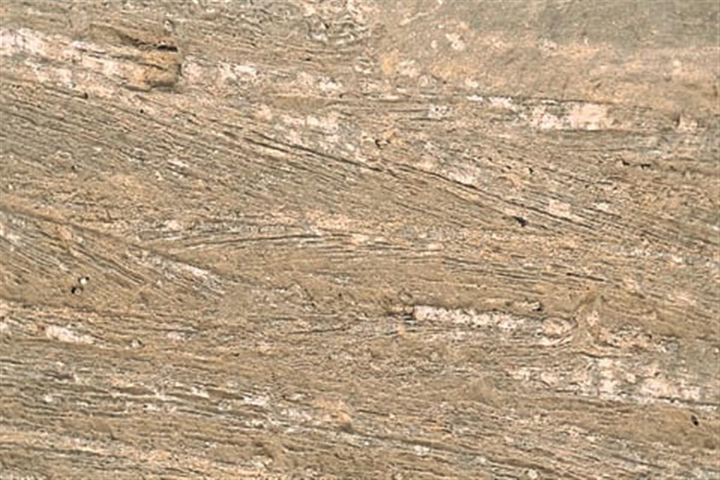 La estratificación cruzada es la estructura sedimentaria más frecuente en las areniscas y microconglomerados de la cuenca de Arcos. (Foto: ENRESA-J. Rodríguez Vidal).
