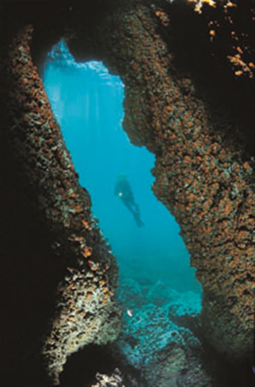 La constante y prolongada acción erosiva del agua ha modelado curiosas cavidades kársticas, situadas tanto por encima como por debajo del nivel actual de las aguas del Mediterráneo. (Foto: ENRESA-M.Campillo Pérez).