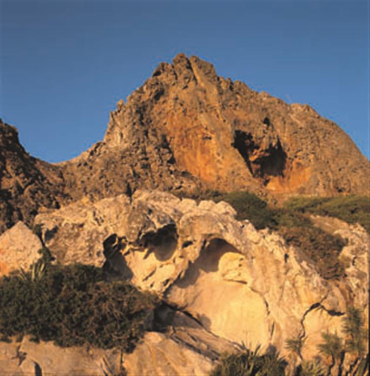Pico del Aljibe. Afloran unas rocas denominadas areniscas del Aljibe, formación geológica singular por su origen, contenido fosilífero, significado paleogeográfico y expresión morfológica. (Foto: ENRESA-R.Nuche del Rivero).
