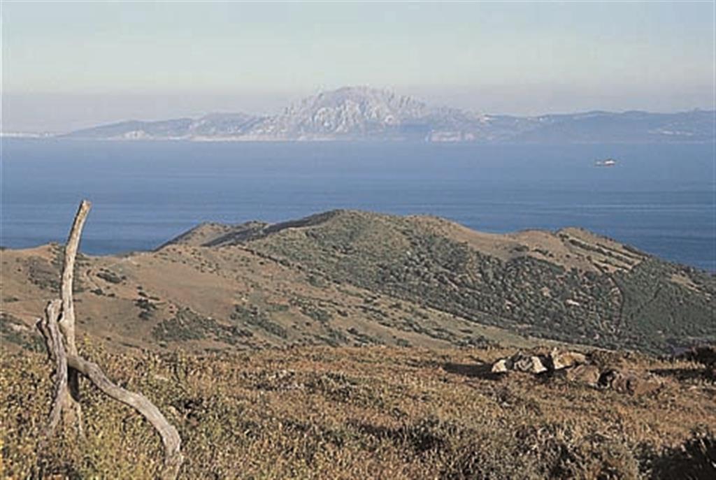 La Unidad de Algeciras, de naturaleza detrítica, aflora en los alrededores de la Bahía de Algeciras, en contraste litológico y morfológico, con los materiales carbonatados que constituyen el Peñón de Gibraltar. (Foto: ENRESA-J. C.Balanyá Roure).