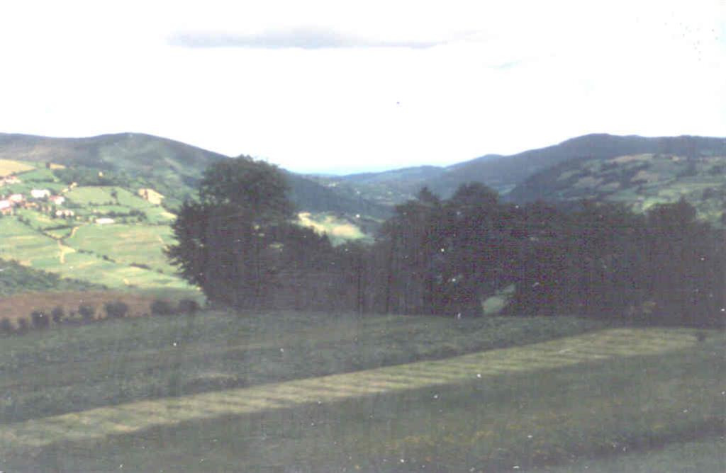 Los Urales y el valle de Brañalonga desde el NE. de la penillanura de la Espina. A la izquierda en primer término borde de la penillanura.