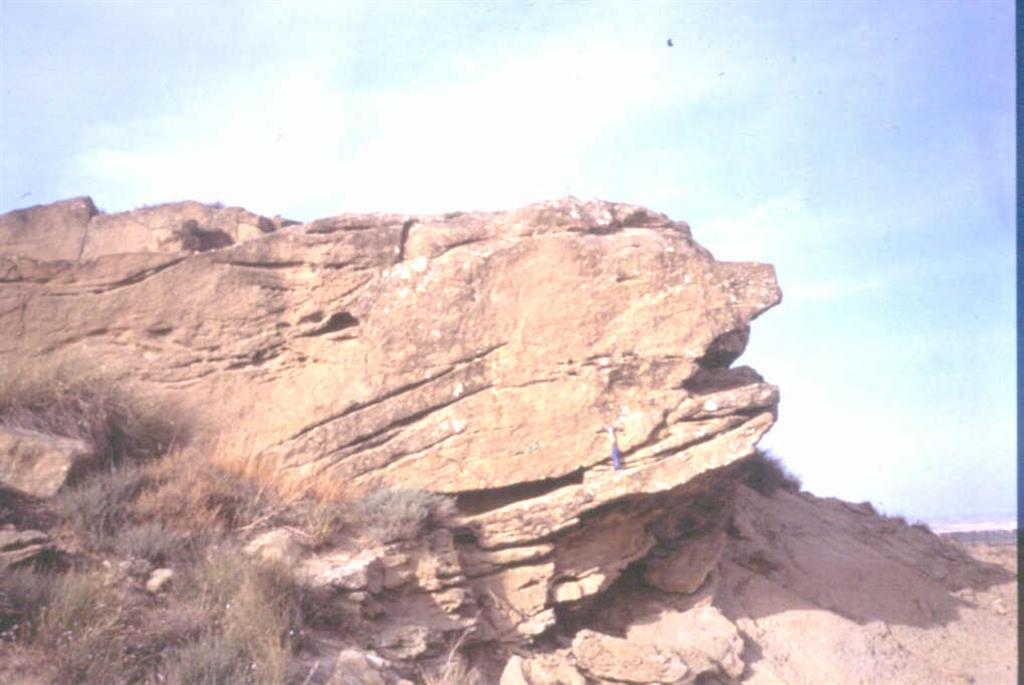 En estos afloramientos de materiales miocenos puede apreciarse los distintos cuerpos de acreción lateral típicos de los depósitos de point - bars.