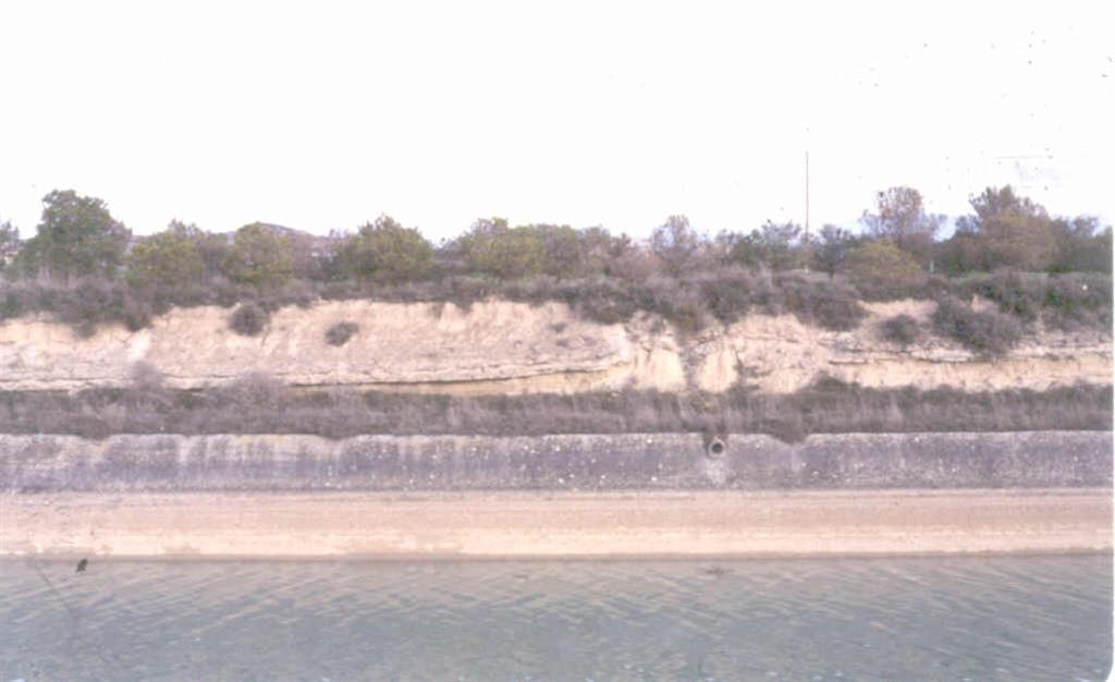 Aspecto de estratos calcáreos y margosos plegados y fracturados de la Unidad Galocha (Ageniense). Granja Almudevar - Canal de Monegros.