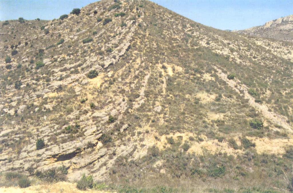 Discordancia progresiva de Ivars de Noguera, descrita por los conglomerados y brechas calcáreas oligocenas del margen N. de la cuenca del Ebro.