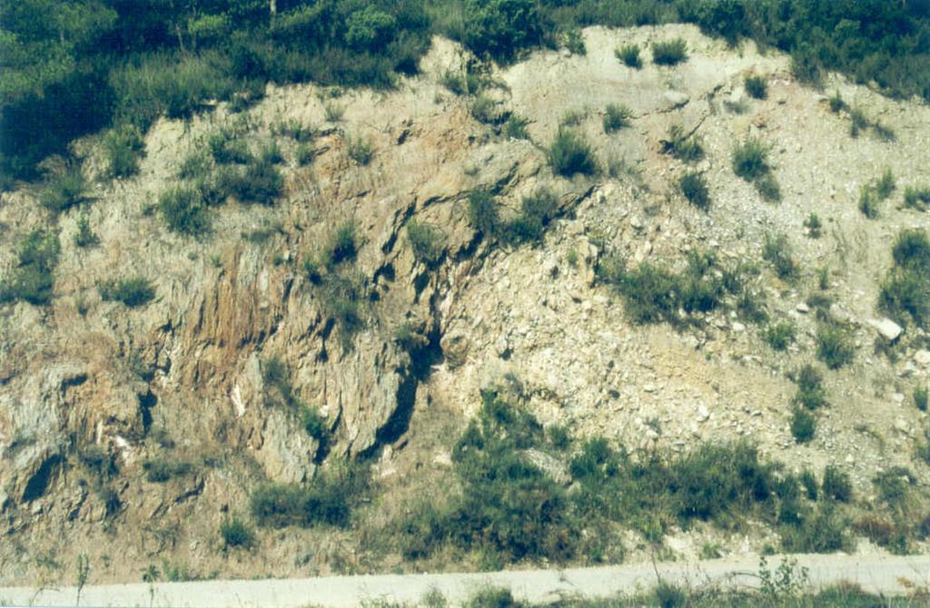 Afloramiento del cabalgamiento de keuper (tonalidad rosadas) sobre gravas cuaternarias, que se observa en la carretera que conduce al pie de la presa de Canelles. Norte a la derecha de la foto.