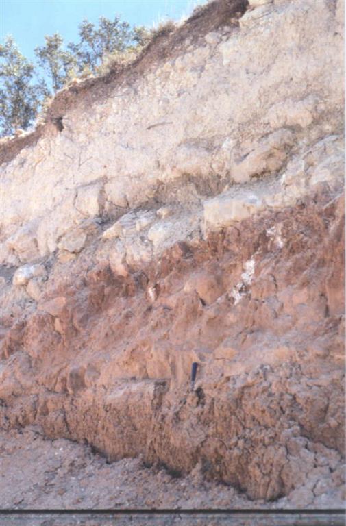 Detalle de las arcillas rojas, areniscas y calizas del Ciclo superior Mioceno del Valle de Esgueva.