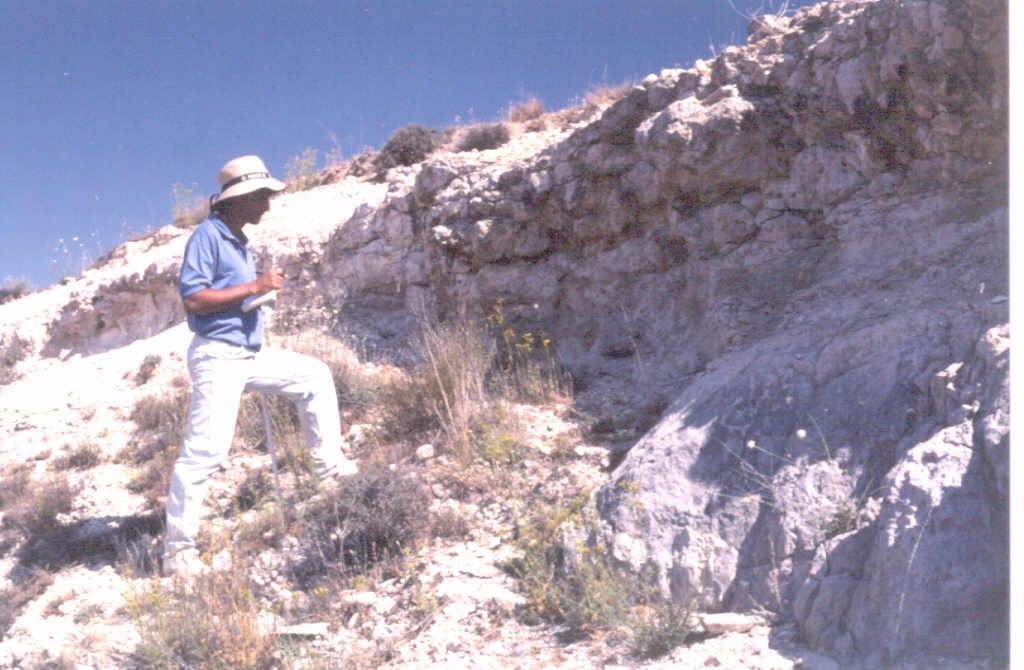 Detalle de las calizas lacustres del Ciclo superior Mioceno (Calizas superiores del Páramo).
