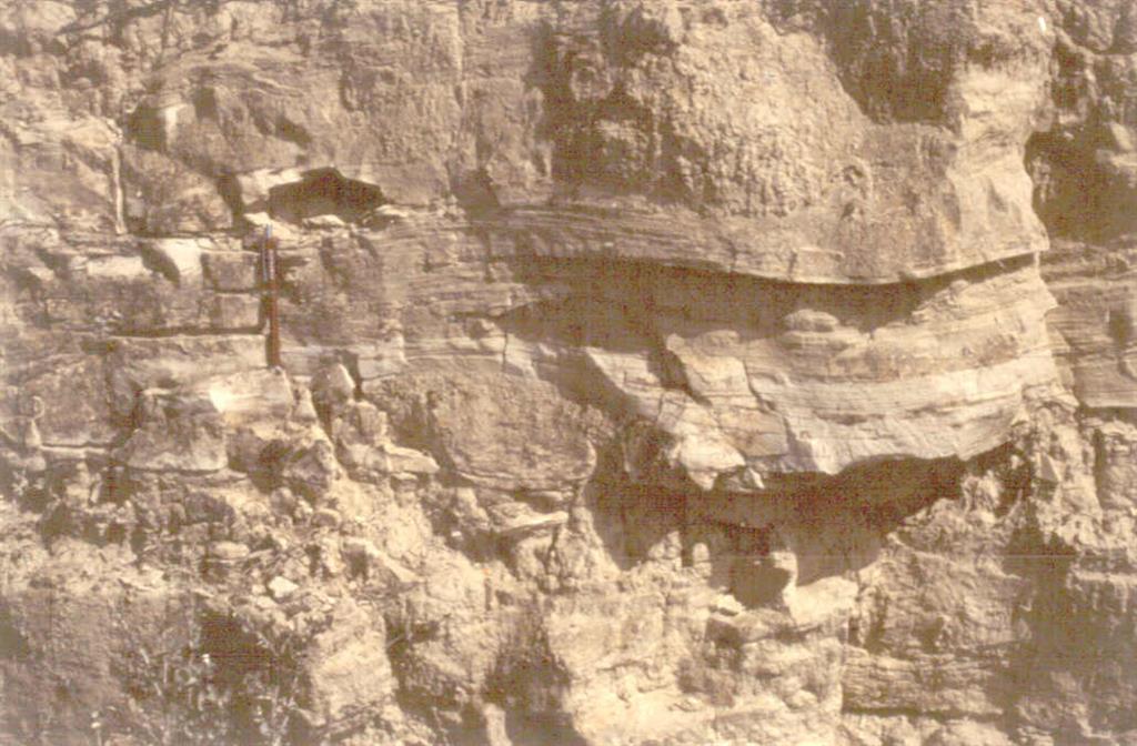 Estratificación cruzada de tipo "Hummocky" sobre carbonatos del perfil estratigráfico "Alcubierre Norte".