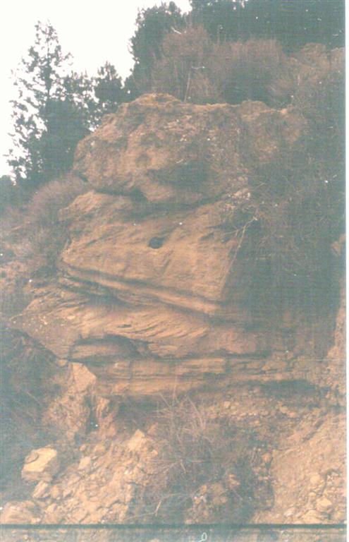 Estratificación cruzada en un paleocanal de arenisca al este de Suchs.