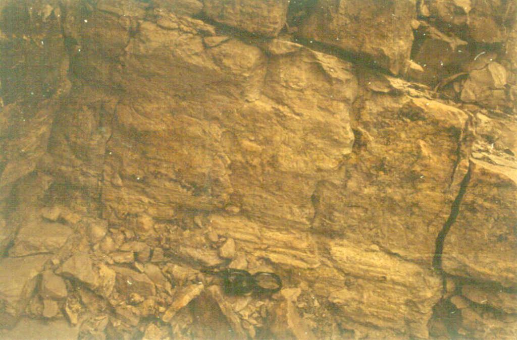 Planos de fracturación con estrías en calizas adosadas al flanco sur del anticlinal de Bellmunt. Anticlinal de Bellmunt.