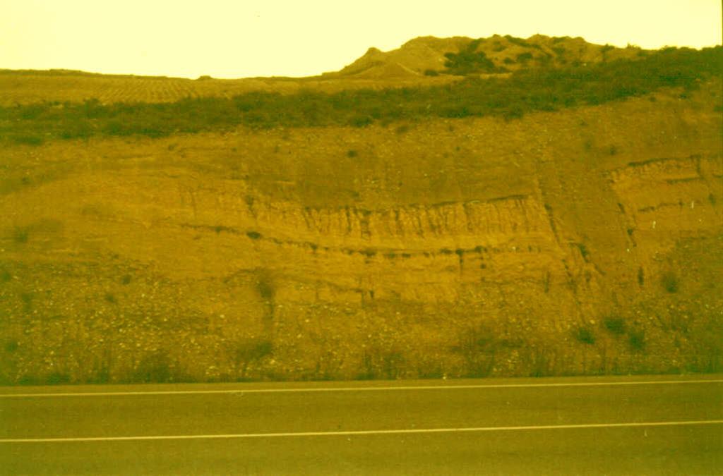 Terraza T4 del río Segre, deformada por la acción diapírica de los yesos infrayacentes del anticlinal de Bellmunt. Paraje de Torre de la Playa.